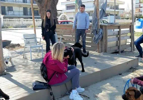 βόλτα κοινωνικοποίησης σκύλων στη Θεσσαλονίκη