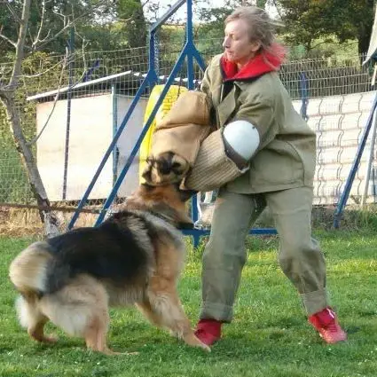 Lona Raujter κατά τη διάρκεια εκπαίδευσης σκύλου φύλαξης