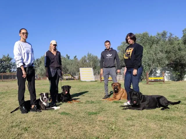 εργασία εκπαιδευτή σκύλων με το πρόγραμμα Professional Dog Training Program: The Ultimate Dog Trainer Course