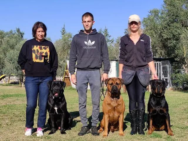 το πρόγραμμα 
MEDIUM A στη σχολή εκπαιδευτών σκύλων στη Θεσσαλονίκη
